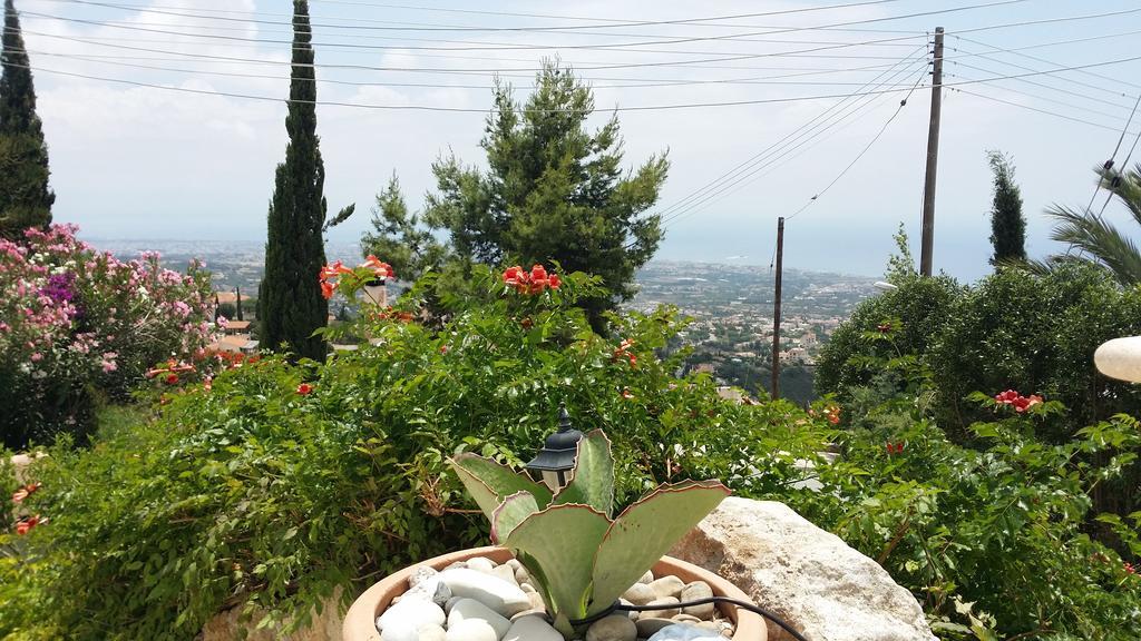 Garden Of Eden Villa Paphos Rom bilde